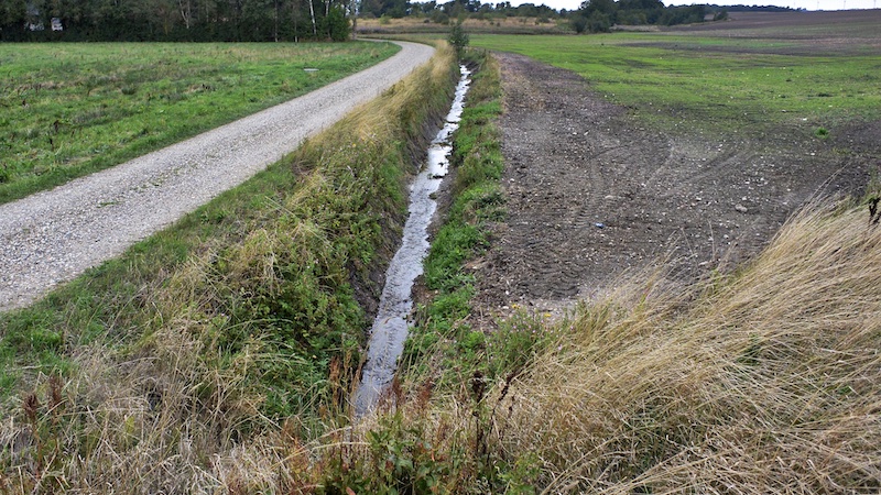 260227 valg lille vandlob plojet