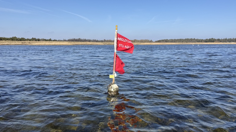 260328 noglefiskerboje udbyhoj