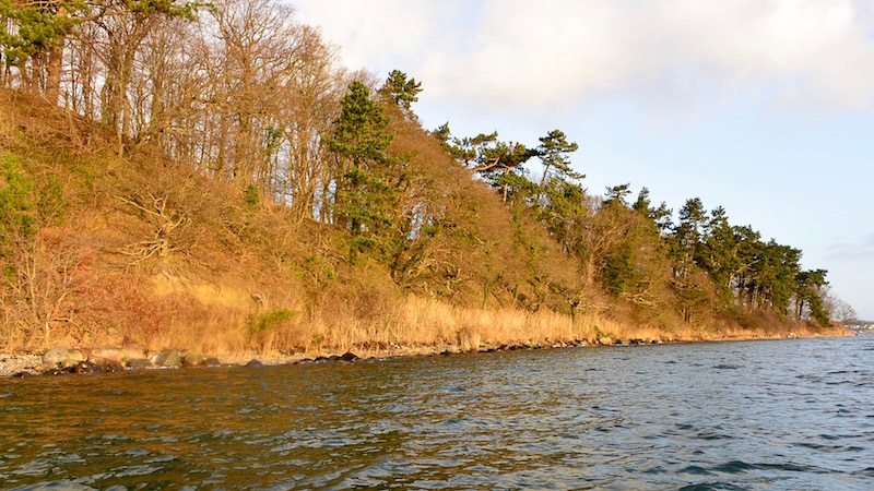 aaret rundt efteraar vinter
