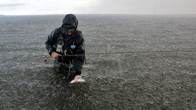 affiskning regn trout randers fjord