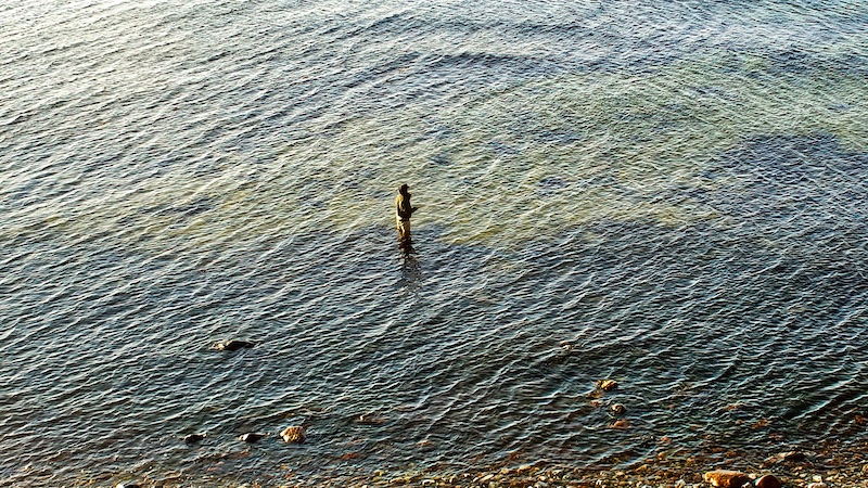 affiskningf vade rev