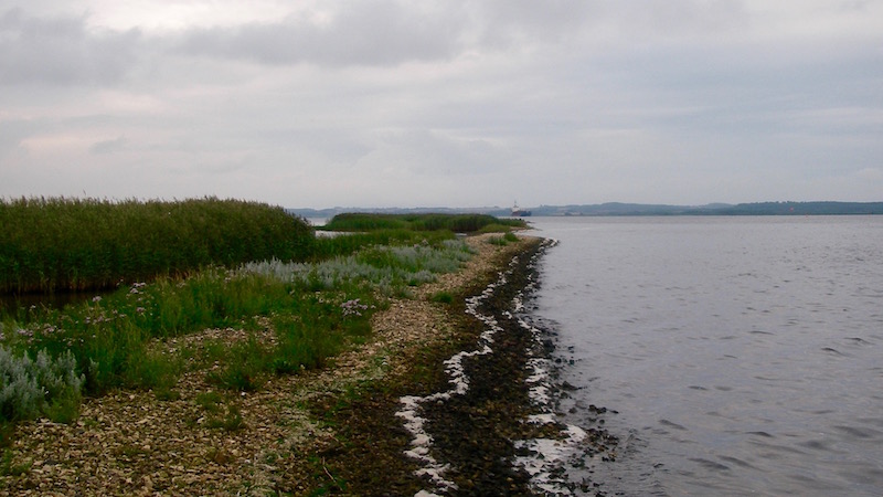 Randers Fjord Stenrevet