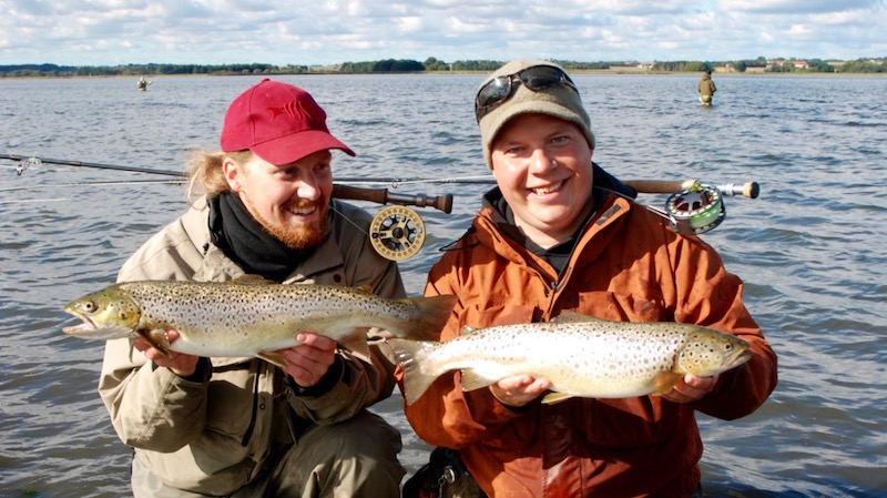 Randers Fjord Stenrevet trout 2