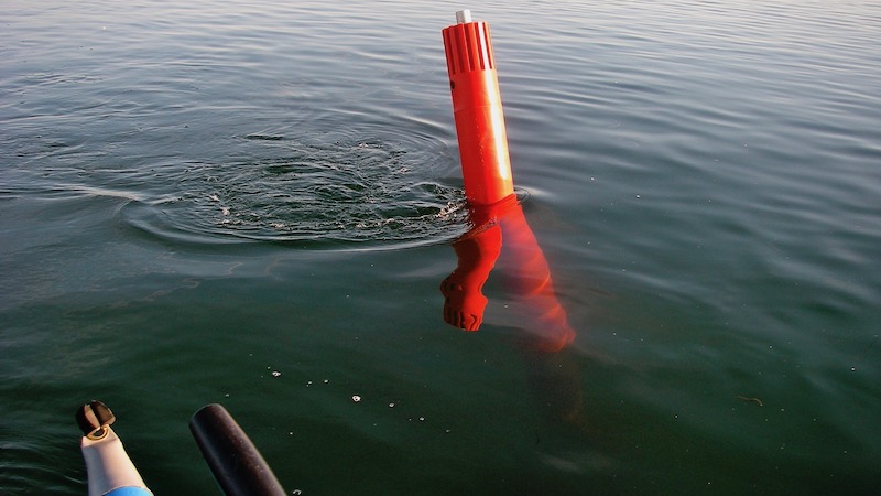 Randers Fjord current