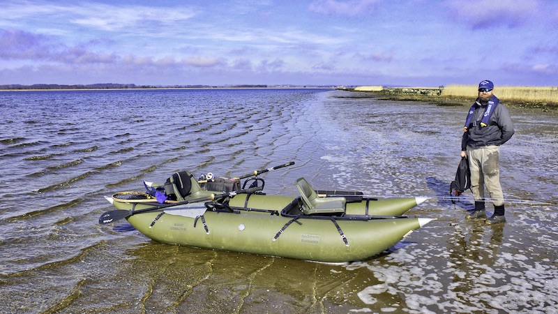 Randers Fjord pollene guide