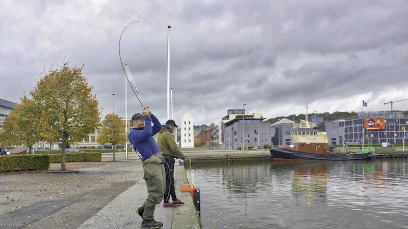 Randers Havn strike