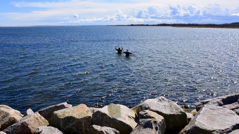 randers fjord udbyhoj vadning